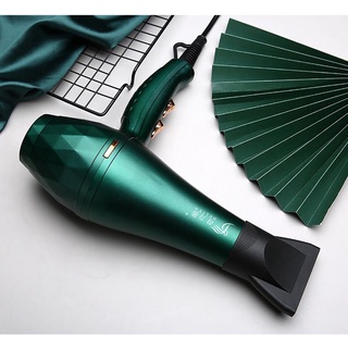 Máy sấy tóc tạo kiểu, Máy sấy tóc DELIYA 8018 ( 2000W), đồ dùng gia dụng