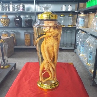 Bình ngâm rượu đinh lăng, củ sâm….. 3L,4L,7L