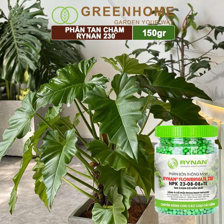 Phân tan chậm Greenhome, rynan 230, chai 150gr, chuyên kiểng lá, dưỡng lá xanh, sinh trưởng khoẻ