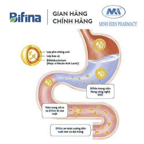 (✅Chính hãng) Thực phẩm bảo vệ sức khỏe men vi sinh Bifina R Health Aid (Hộp 60 gói)