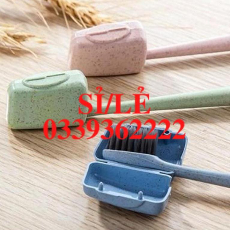 Set 4 Nắp Đậy Bàn Chải Đánh Răng Chống Vi Khuẩn