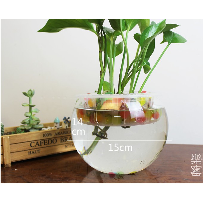 Bể cá cảnh thủy tinh trang bị rọ thủy canh thích hợp trang trí tiểu cảnh size 15cm