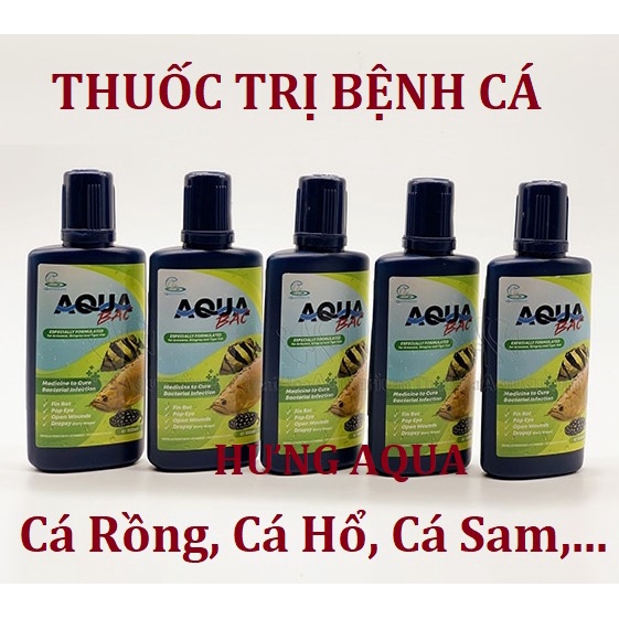 Thuốc chữa bệnh cho cá rồng, cá hổ, cá Sam Aqua BAC - CZ12 nhập khẩu Thái Lan (chính hãng)