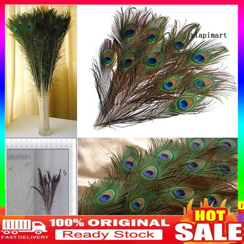 Set 10 Đuôi Công Trang Trí Tiệc