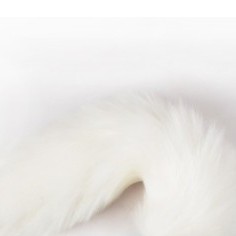 Quần lót đuôi cáo Cosplay độc đáo | BigBuy360 - bigbuy360.vn