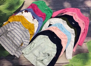 Combo 60 áo bozip xuất