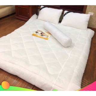 Ruột chăn phin trắng 2m x 2m2 bông sơ trắng sạch