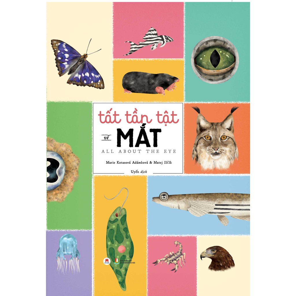 Sách - Tất tần tật về mắt kèm tên sách gốc: All about the eye (Huy Hoàng)