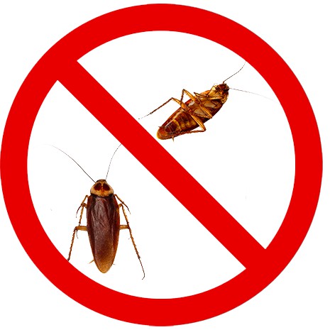 Dung dich diệt côn trùng ve kiến gián muỗi bọ chét một lần hết ngay - Bio Deltox 1lit