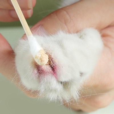 Bioline vật nuôi Giảm máu chó cắt móng tay móng tay vết thương cầm máu Kem móng chân bột nhanh chóng cầm máu tạo tác