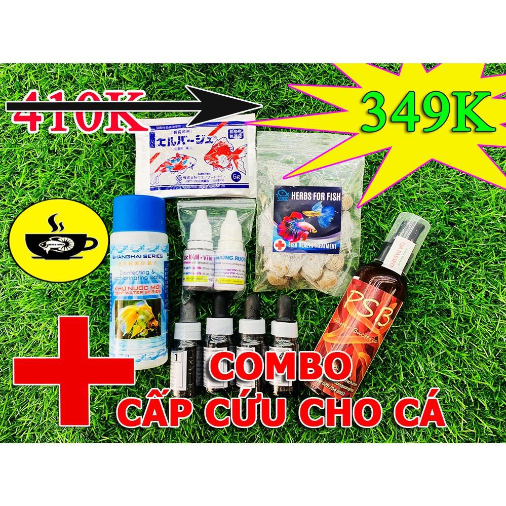 Combo cứu thương cho BETTA, GUPPY và Nhiều loại cá khác 🦈