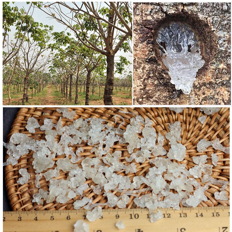 100GR Tuyết Yến Vụn Hàng Vân Nam Kéo Sợi