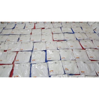 Võ phục cổ trắng cao cấp