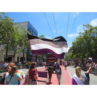 Cờ Vô tính, phổ Vô tính (Asexual/ LGBT)