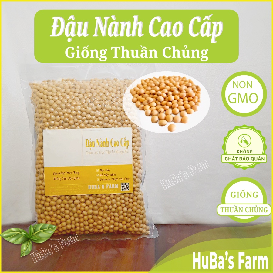 Đậu nành giống thuần chủng, đậu tương giàu dinh dưỡng, đậu nành làm giá không chất bảo quản