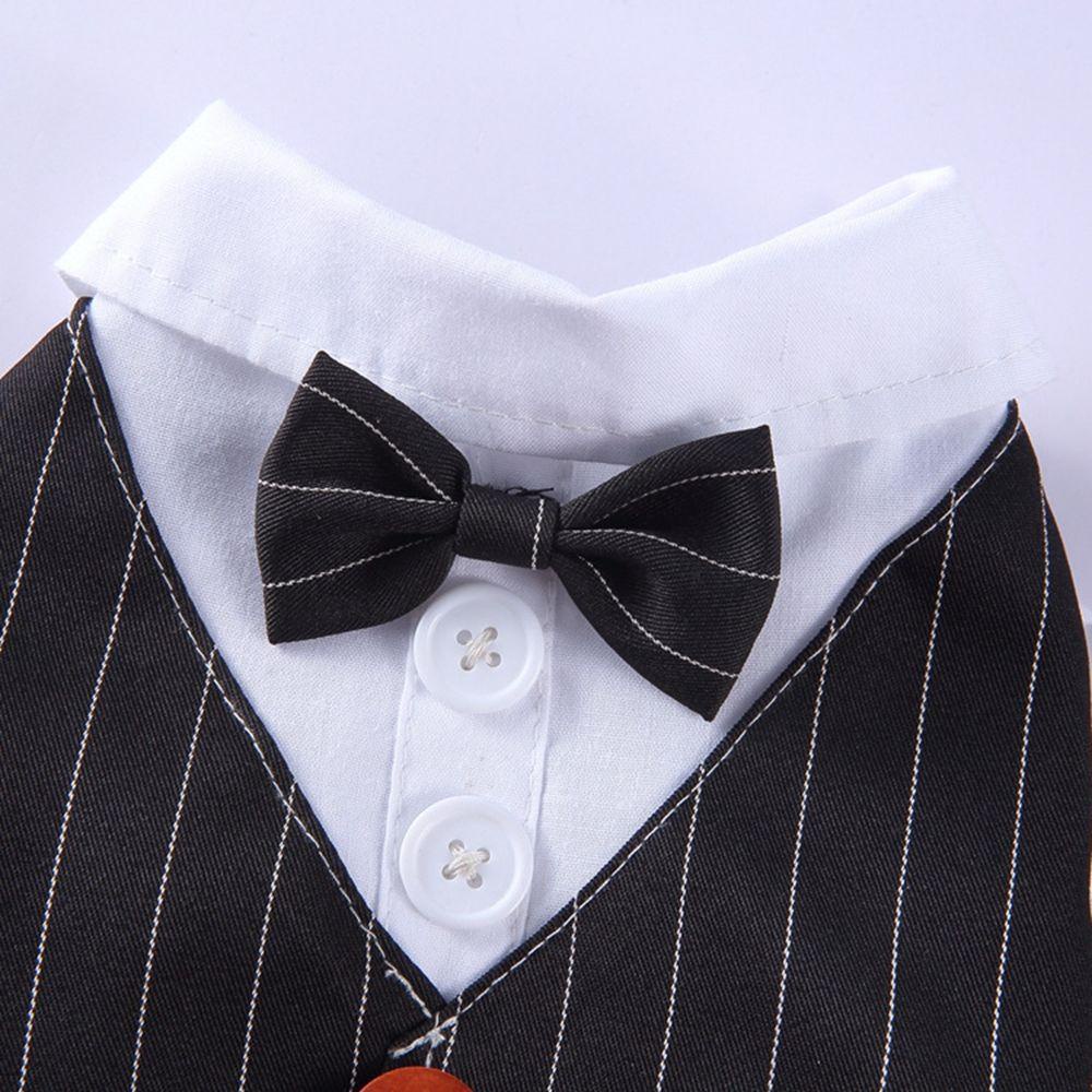 1 Bộ ÁO + QuầN ThắT Nơ AUGUSTINA MềM MạI Cho Thú Cưng