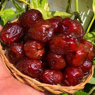 Táo sấy dẻo thái lan đã tách hạt lon 500gram