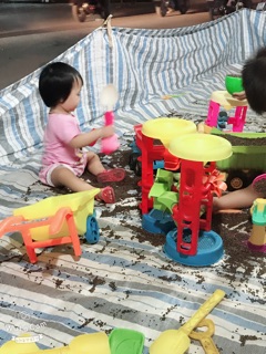 Hạt muồng muồng