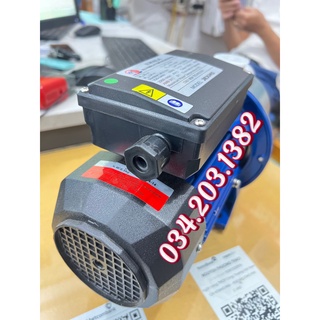 máy bơm con lợn đầu Inox Jexm 5