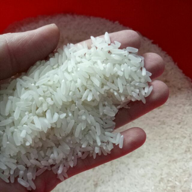 [Mã 156FMCGSALE hoàn 8% đơn 500K] (SIÊU GẠO)Gạo dẻo 1 kg gạo 225 Quê e