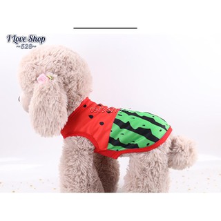 Áo hình dưa hấu cho chó mèo