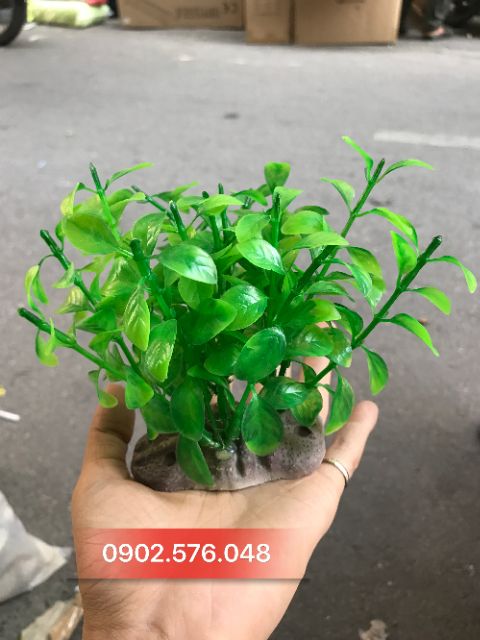 Cây nhựa trang trí hồ cá nhỏ