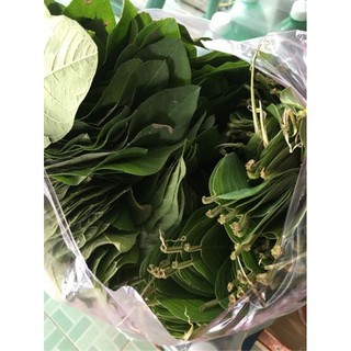 1kg lá ổi tươi