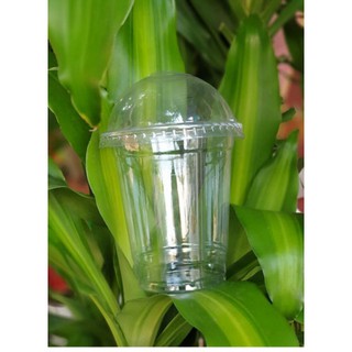 50 Ly Nhựa Pet Nắp cầu dung tích 360ml