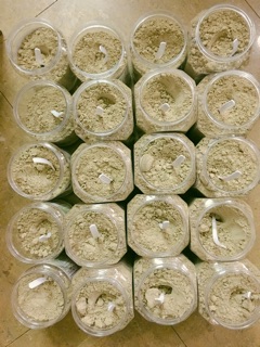 Bột ngũ cốc Anh Đài