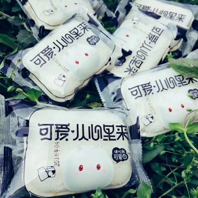 Bánh sữa chua loại mới