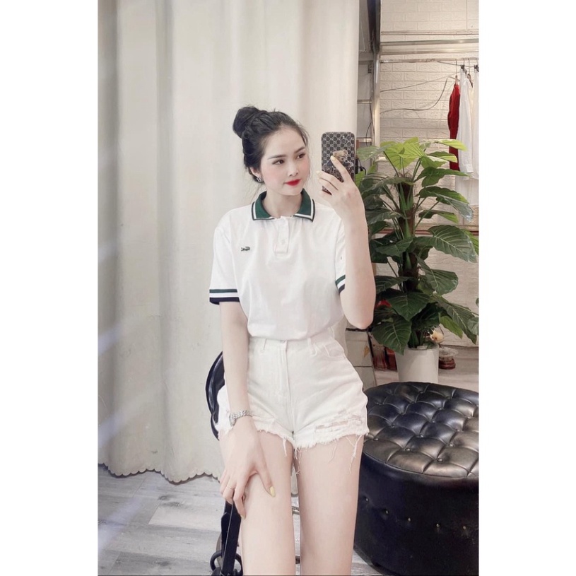 Áo polo nữ cổ xanh thêu hình cá sấu HN844 0421