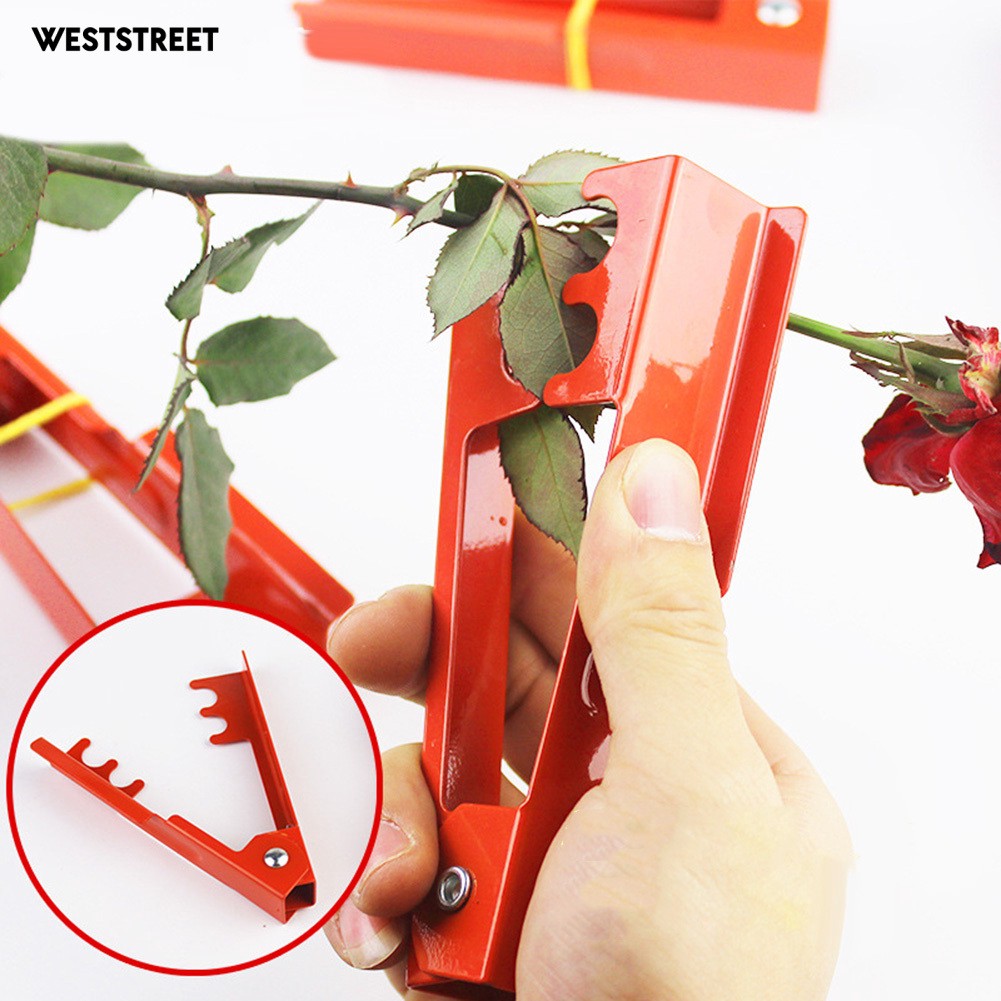 Kẹp tuốt lá và gai hoa tiện dụng cho nhà ở