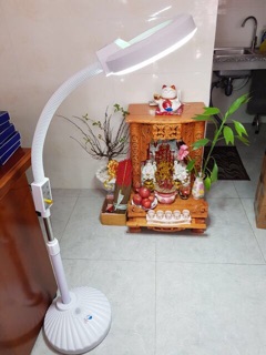Đèn led spa