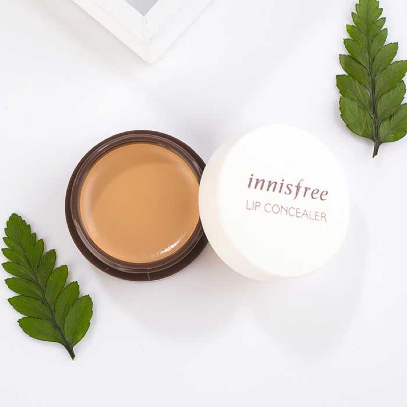 Kem che khuyết điểm môi Innisfree Tapping Lip Concealer 3.5g | BigBuy360 - bigbuy360.vn