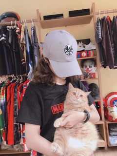 Mũ Shield Captain marvel