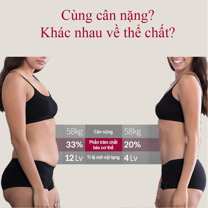 Máy Phân Tích Thành Phần Cơ Thể InBody Dial