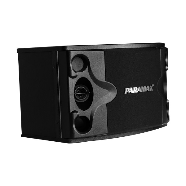 Loa Karaoke Paramax P300