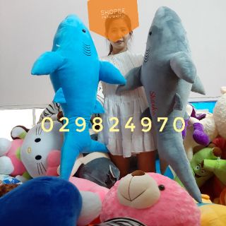 Cá mập 1m2 ( ảnh thật)