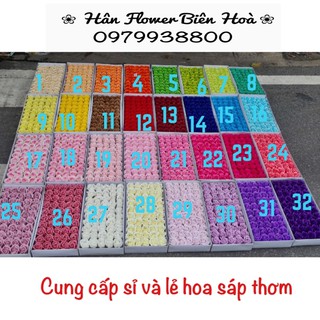 Hoa hồng sáp thơm