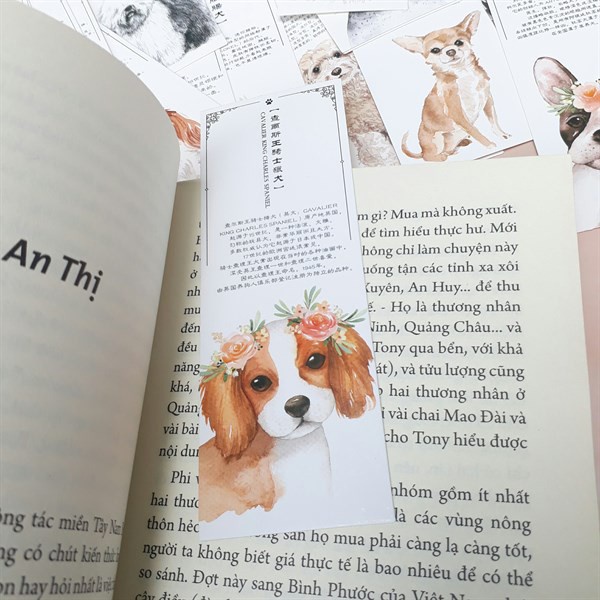 Hộp 30 Đánh Dấu Sách Bookmark Chủ Đề Động Vật 15x4cm