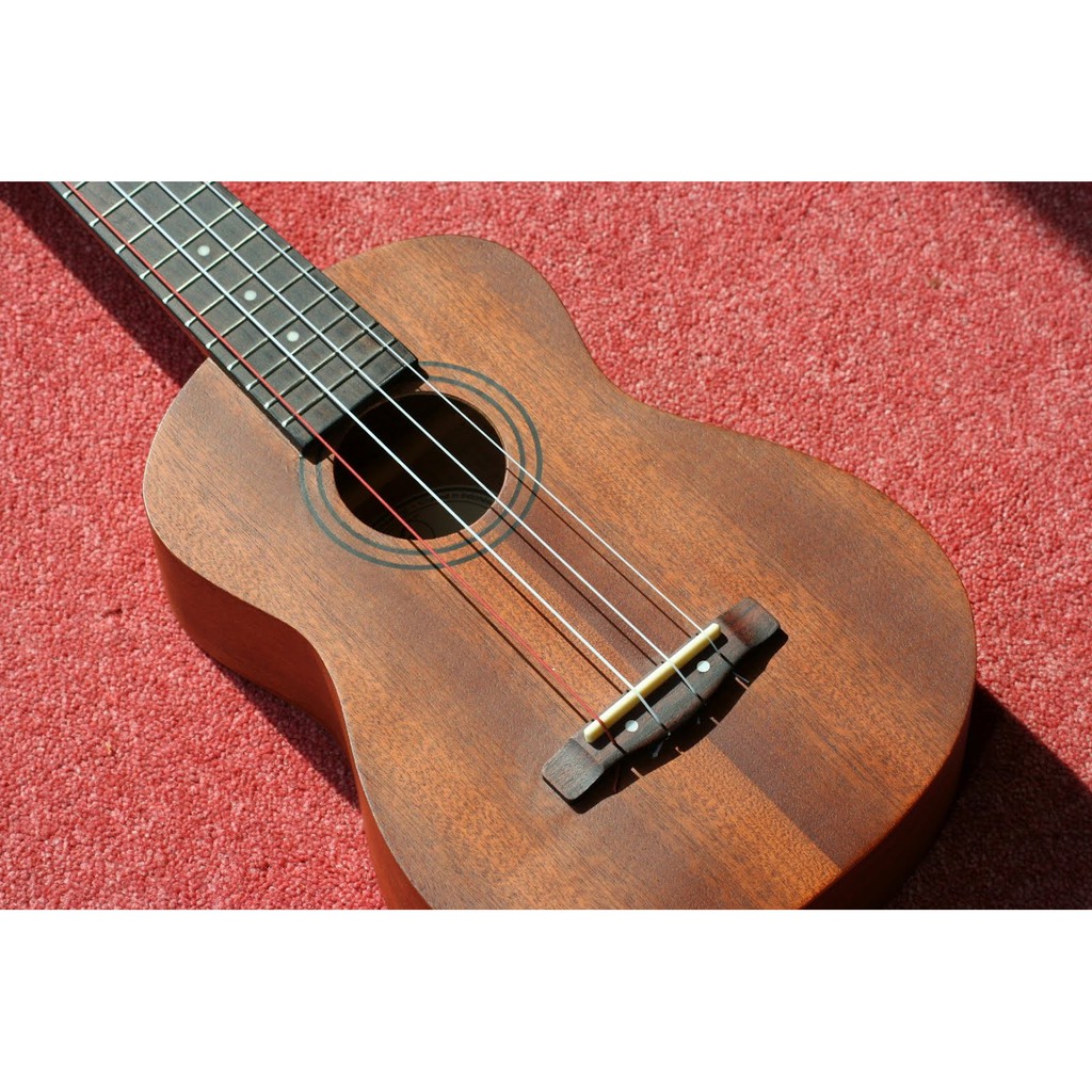 Dây Son trầm đàn Ukulele - Dây Low G Ukulele