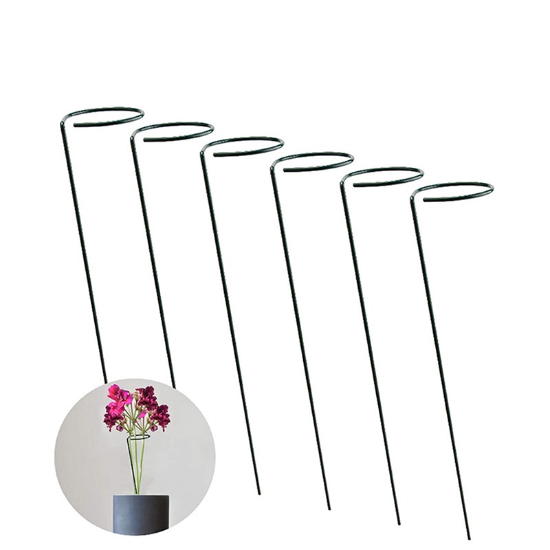 Hot sale! Thanh Đỡ Hỗ Trợ Trồng Cây Cà Chua amaryllis