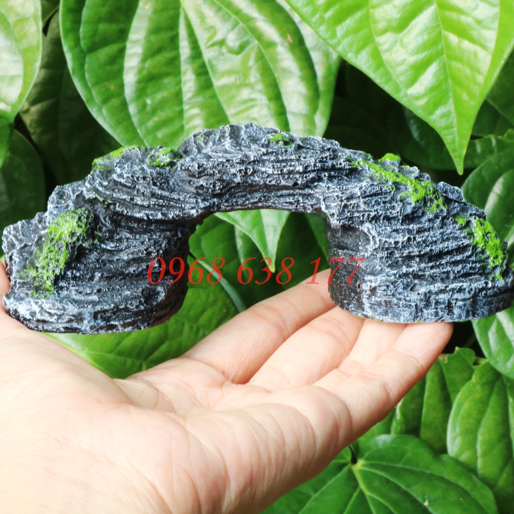 Cầu thang cho rùa, bò sát phơi nắng