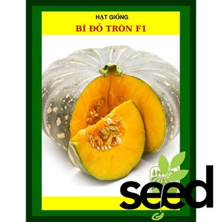 Hạt Giống Bí Đỏ Tròn F1 - 2G