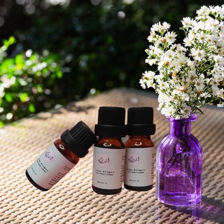 Glue Primer ( Liên kết keo)