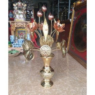 Hoa sen thờ đồng bó 15 bông