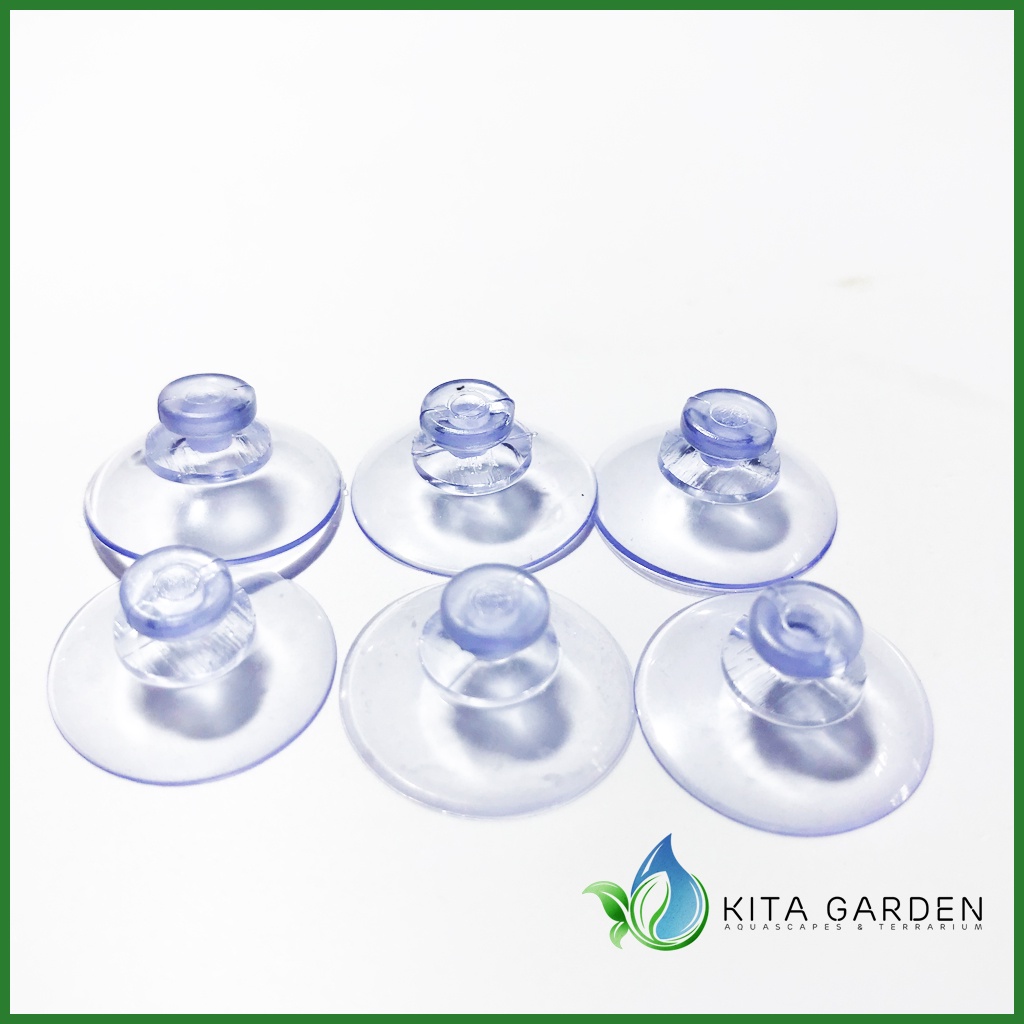 Hít nhựa hồ kính | Hít Thành Hồ | Hít Kính | Hít gắn vĩ rêu