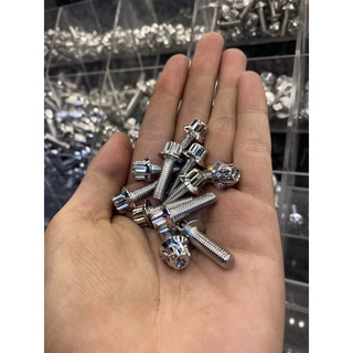 Ốc Salaya Đầu Trụ Size 6li2 thông dụng