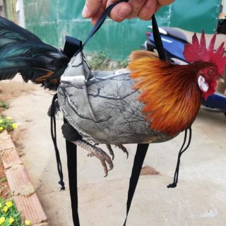 [Mã SKAMLTSM9 giảm 10% đơn 99K] Combo 5 túi đựng gà bổi