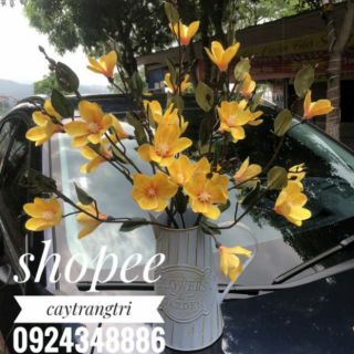 🌸 Hoa Mộc Lan Cao Su Trang Trí